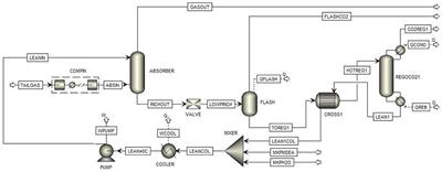 Design of the CO2 Removal Section for PSA Tail Gas Treatment in a Hydrogen Production Plant